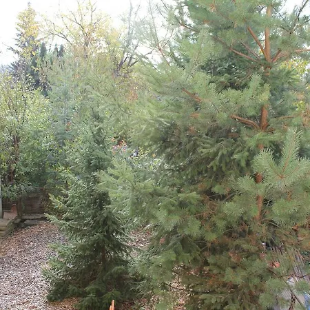 V Dobré Lokalitě Apartmán *